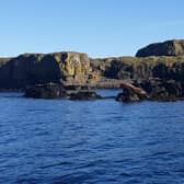 Creel fisherman Lorn MacRae snapped the walrus enjoying some winter sun on a rocky isle off Scotland's west coast on Monday