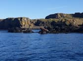 Creel fisherman Lorn MacRae snapped the walrus enjoying some winter sun on a rocky isle off Scotland's west coast on Monday