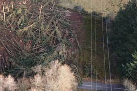Work is underway to reduce the likelihood of power cuts in the future. (Forestry and Land Scotland)