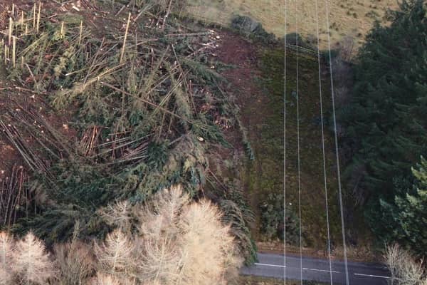 Work is underway to reduce the likelihood of power cuts in the future. (Forestry and Land Scotland)