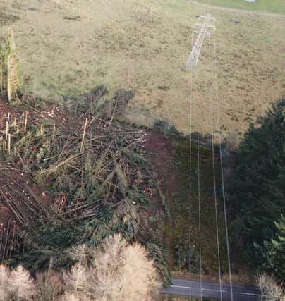 Work is underway to reduce the likelihood of power cuts in the future. (Forestry and Land Scotland)