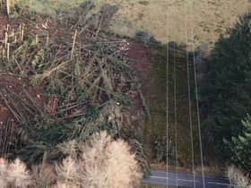 Work is underway to reduce the likelihood of power cuts in the future. (Forestry and Land Scotland)