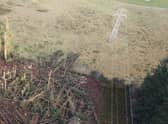 Work is underway to reduce the likelihood of power cuts in the future. (Forestry and Land Scotland)