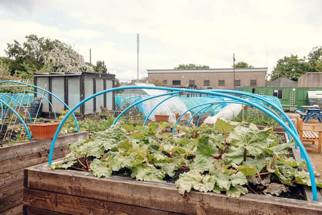 A community garden has been created in Glasgow's Shettleston, allowing locals to grow their own food
