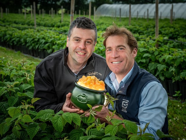 Andrew Young, Scotty Brand Development Manager and Geoff Bruce, Director at Bruce Farms with a Pot of the Gold-en raspberries