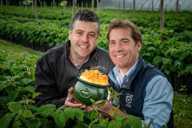 Asda brings rare Scottish-grown golden raspberries to stores for the ...