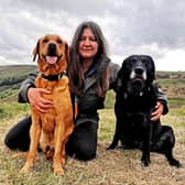 Rachel Bean is offering this advice to Scottish dog owners - Animal News Agency