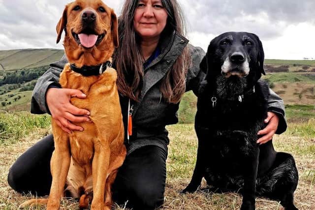 Rachel Bean is offering this advice to Scottish dog owners - Animal News Agency