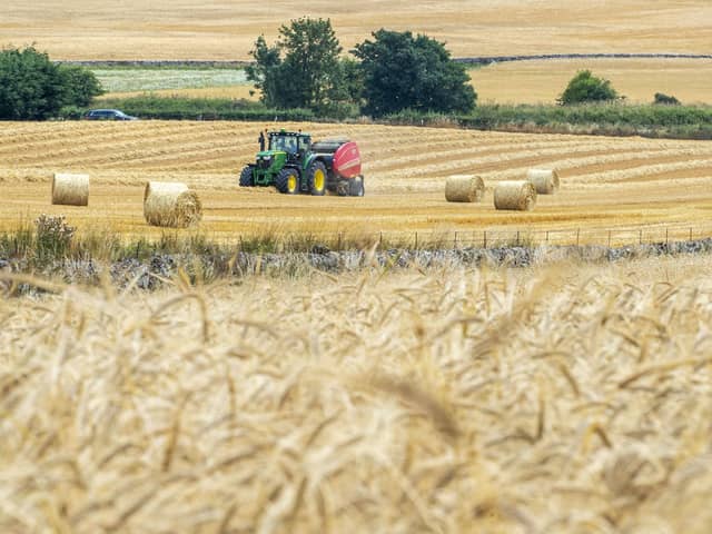 Calls have been made to Humza Yousaf to return the remaining £46 million of funding to the Scottish agriculture budget when he addresses the NFUS Conference next week (pic: Lisa Ferguson/The Scotsman)