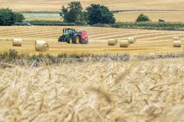 Farm incomes have fallen to their lowest level since 2019/20. Picture: Lisa Ferguson/The Scotsman
