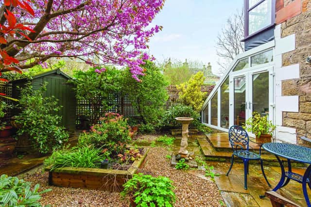 Rear garden patio area with cherry blossom. Image: Philip Stewart