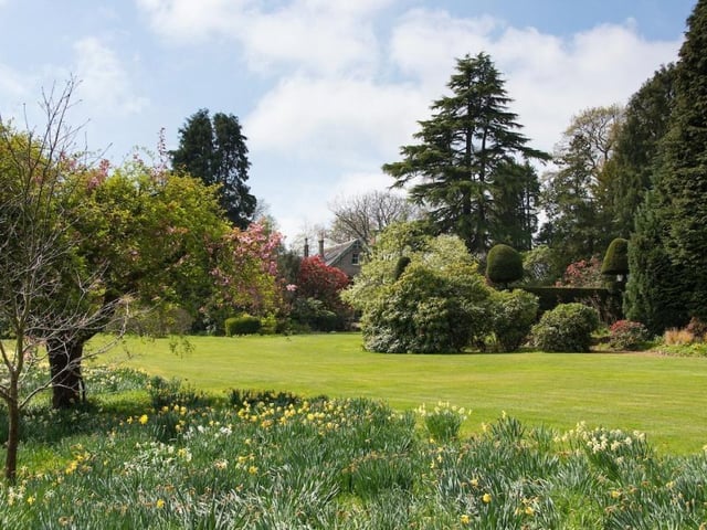 Garden.