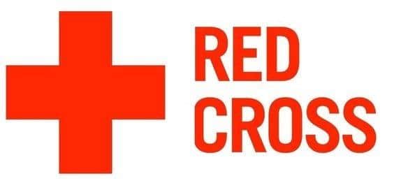 The public is urged to report any fake testers to the police. Picture: Red Cross