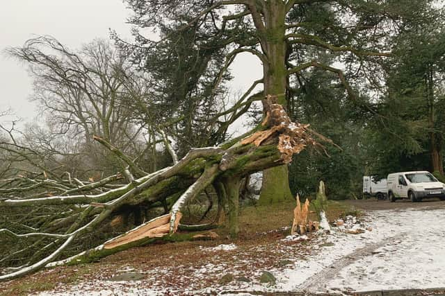 The Army has been deployed to help residents who have been without power for a week since Storm Arwen caused “catastrophic damage” to the electricity network.