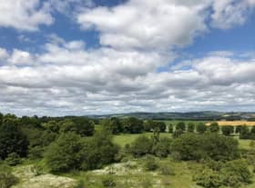 Tha luchd an airgid airson brath a ghabhail air an taic a tha ri faighinn ann an Alba airson a dhol 'uaine'