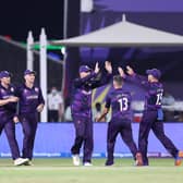 Scotland's players celebrate after the dismissal of Oman's captain Zeeshan Maqsood.