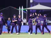 Scotland's players celebrate after the dismissal of Oman's captain Zeeshan Maqsood.