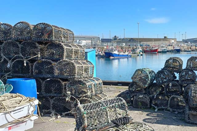​The Scottish fishing industry is dominated by Peterhead port according to the latest statistics.