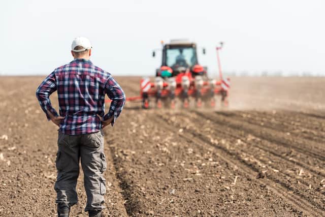 Scotland’s new subsidy system for farmers and crofters should prioritise restoration of nature and eco-friendly agricultural practices, according to environmentalists