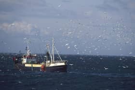 Around a third of the fishing workforce come from outside the UK.