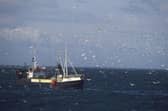 Around a third of the fishing workforce come from outside the UK.