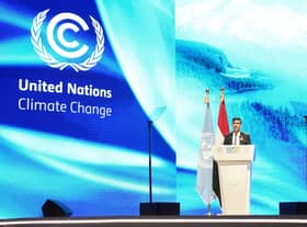 Prime Minister Rishi Sunak addresses delegates during the Cop27 summit at Sharm el-Sheikh, Egypt. Picture date: Monday November 7, 2022.