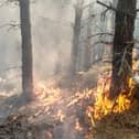 Campers and walkers have been warned to avoid any naked flames to cut the risk of igniting 'tinder-dry' vegetation after a spring with very low rainfall