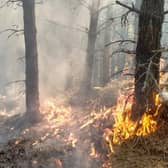 Campers and walkers have been warned to avoid any naked flames to cut the risk of igniting 'tinder-dry' vegetation after a spring with very low rainfall