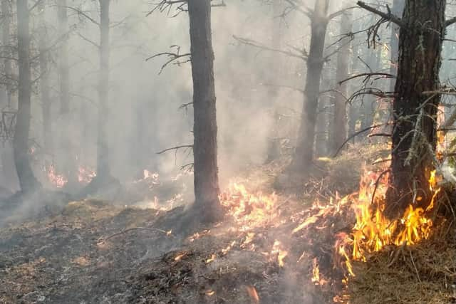 Campers and walkers have been warned to avoid any naked flames to cut the risk of igniting 'tinder-dry' vegetation after a spring with very low rainfall