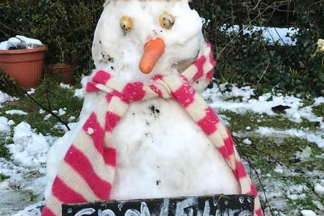 A wide variety of snowpeople took part in the demonstration