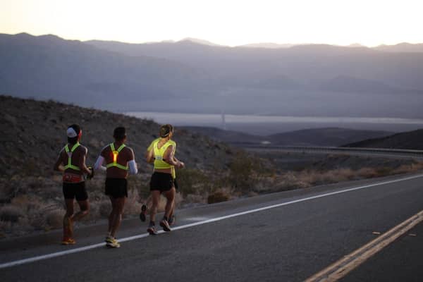 Human endurance athletes are impressive, but their feats are overshadowed by those of migratory birds (Picture: David McNew/Getty Images)
