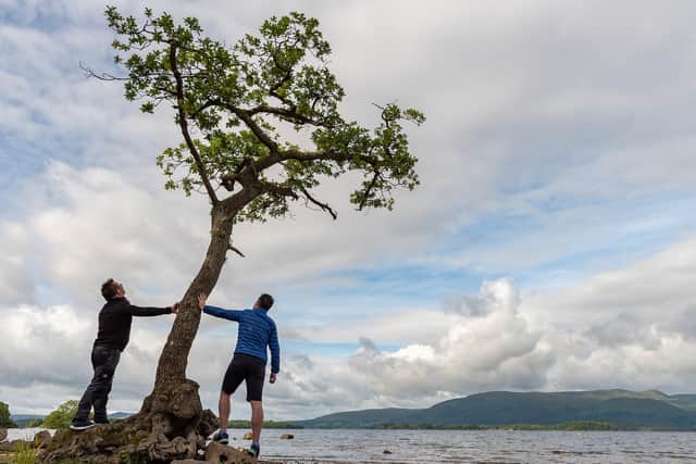 The Milarrochy Oak - nominated separately by Gary Chittick and John Cuthbert - is tenacious little tree in a picturesque bay on Loch Lomond, near the village of Balmaha. It stands within Scotland’s first National Park and on the route of the famous West Highland Way.