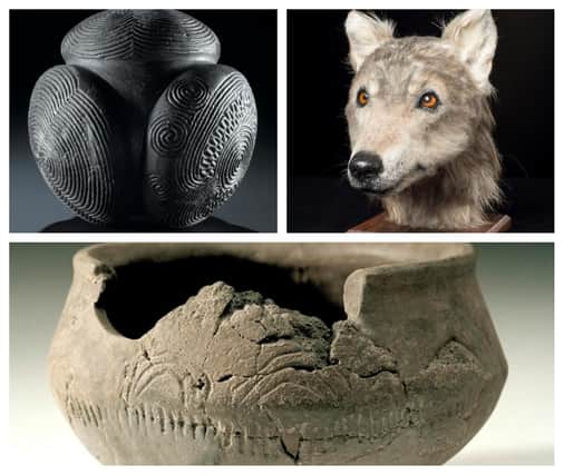 Detail from a Breton-style pot decorated with rainbow motif from Achnacreebeag near Oban which is amongst the earliest evidence of the French immigrant farmers who arrived in Scotland around 4,000BC (bottom), the 5,000-year-old Towie ball, found in Aberdeenshire,  (top right) which is likely to have been used as a weapon during the Neolithic period  and the reconstruction of a dog's head found in the Cuween passage tomb in Orkney. The animal was buried there around 4,500 years ago.