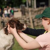 Children meeting working dogs during the Estate that Educate open days. Picture: Kirk Norbury