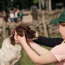 Children meeting working dogs during the Estate that Educate open days. Picture: Kirk Norbury