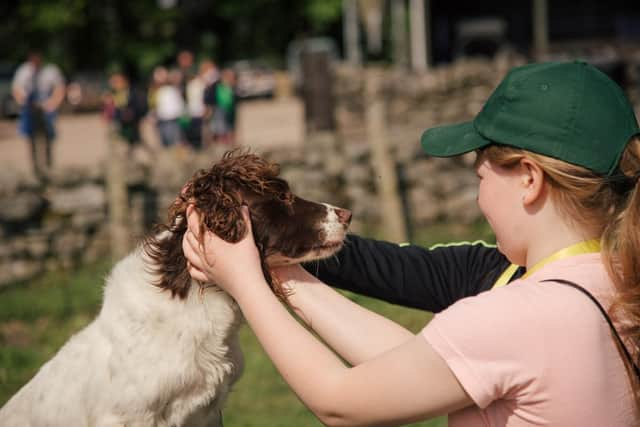 Children meeting working dogs during the Estate that Educate open days. Picture: Kirk Norbury