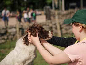 Children meeting working dogs during the Estate that Educate open days. Picture: Kirk Norbury