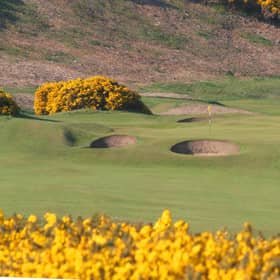 The 5th hole at the Royal Dornoch Golf Club, now the first course in the world to have defibrillators fitted to all golf buggies. PIC: John Haslam.