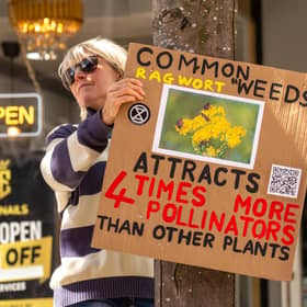 Campaigners highlighted the importance of pollinators and the plants they need to survive -- ahead of National Insect Week , run by the Royal Entomological Society, which begins on Monday. Picture: XR Stirling