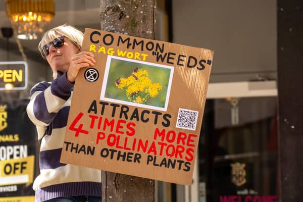 Campaigners highlighted the importance of pollinators and the plants they need to survive -- ahead of National Insect Week , run by the Royal Entomological Society, which begins on Monday. Picture: XR Stirling