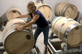Sally Evans, author of Make The Midlife Move. Sally ended a corporate career and started to study wine at age 52, now she runs a vineyard