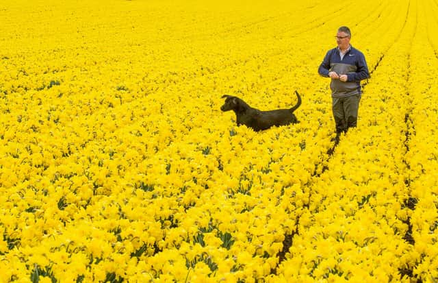 Mark, from Grampian Growers, who fears farmers like himself across the country will lose 60 per cent of their crop this year due to ongoing Covid restrictions and Brexit regulations picture: Grampian Growers