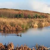 St Fittick’s Park, home to award-winning wetland and reedbeds and myriad wildlife species, is the last public green space serving the community of Torry, on the outskirts of Aberdeen - the area is one of Scotland's most deprived, where residents have a life expectancy 13 years shorter than those living in the city's wealthier parts