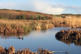 St Fittick’s Park, home to award-winning wetland and reedbeds and myriad wildlife species, is the last public green space serving the community of Torry, on the outskirts of Aberdeen - the area is one of Scotland's most deprived, where residents have a life expectancy 13 years shorter than those living in the city's wealthier parts