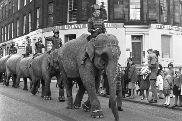 In June 1966 Billy Smart's Circus set up its big top next to Murrayfield Stadium. An elephant parade to promote the attraction is pictured making its way along Shandwick Place.