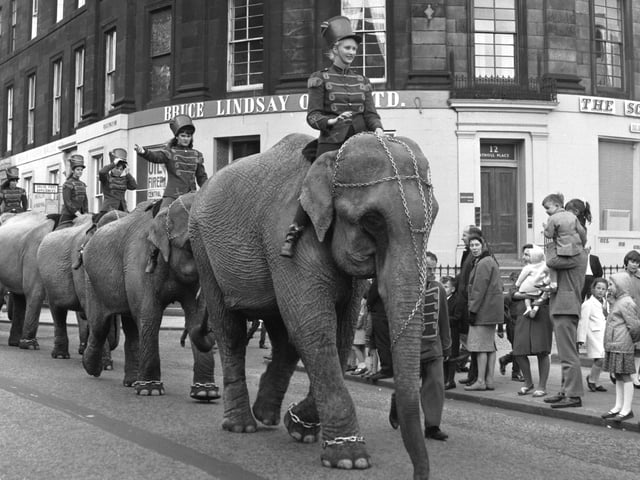 In June 1966 Billy Smart's Circus set up its big top next to Murrayfield Stadium. An elephant parade to promote the attraction is pictured making its way along Shandwick Place.