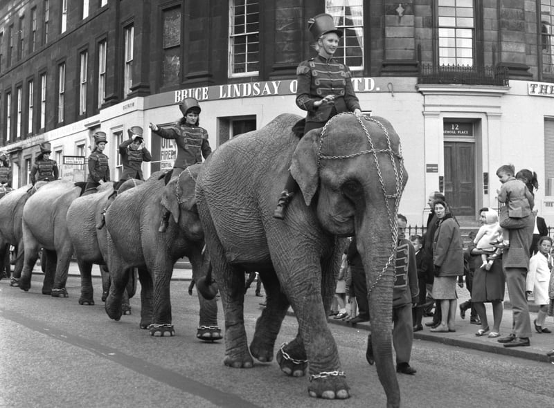 In June 1966 Billy Smart's Circus set up its big top next to Murrayfield Stadium. An elephant parade to promote the attraction is pictured making its way along Shandwick Place.