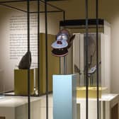 Installation view of The Trembling Museum at The Hunterian, Glasgow PIC: Fred Pedersen