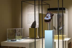 Installation view of The Trembling Museum at The Hunterian, Glasgow PIC: Fred Pedersen