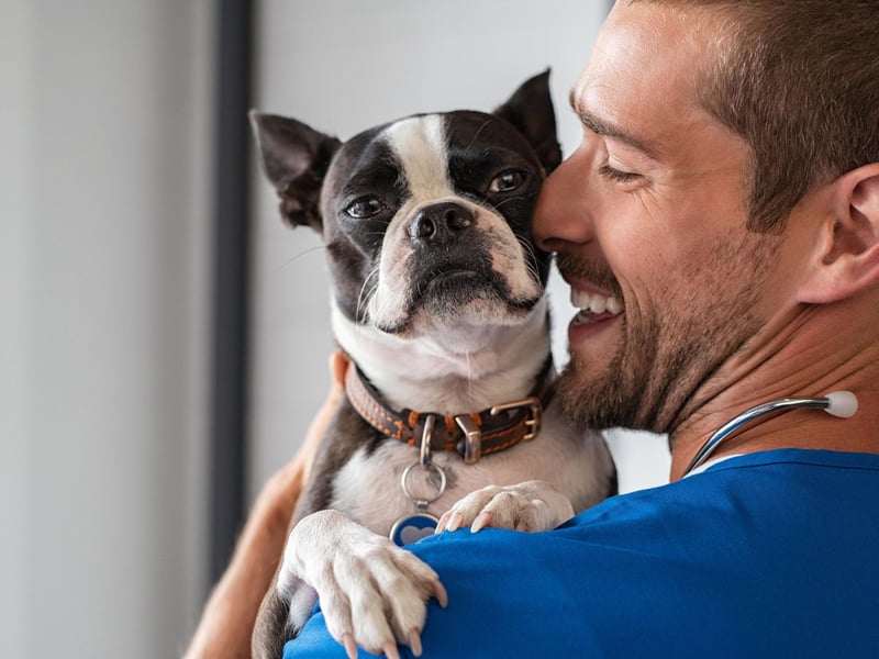 It may be irritating, but if you regularly find socks, pants and tshirts in your dog's best - sometimes with a little light nibbling - it's just their way of feeling close to you when you are not physically near.